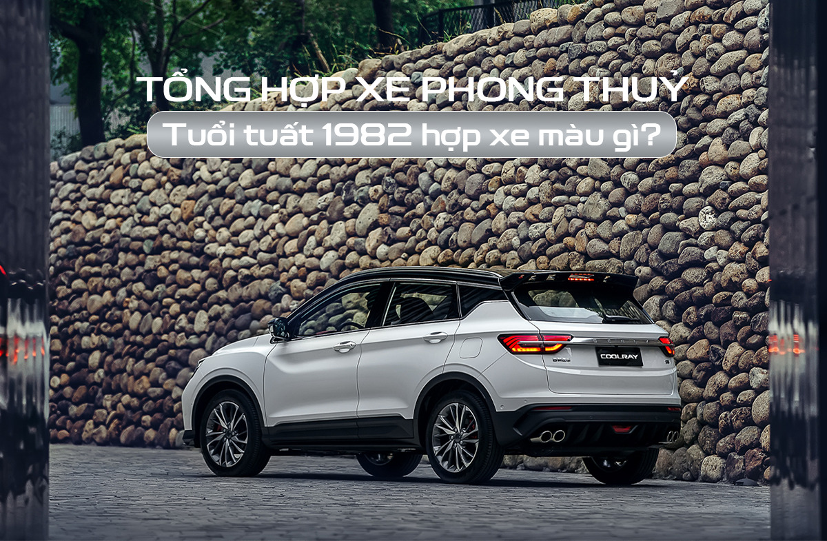 Nam và nữ tuổi tuất 1982 hợp xe màu gì theo phong thủy