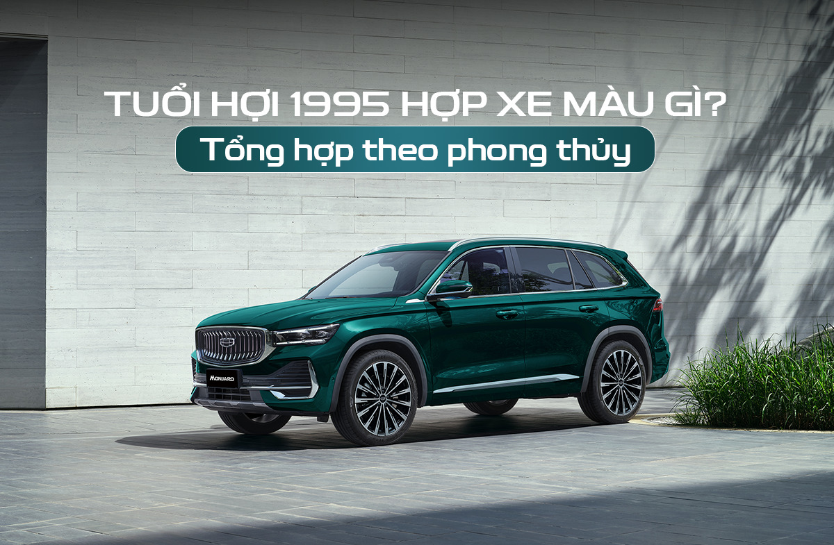 tuổi hợi 1995 hợp xe màu gì