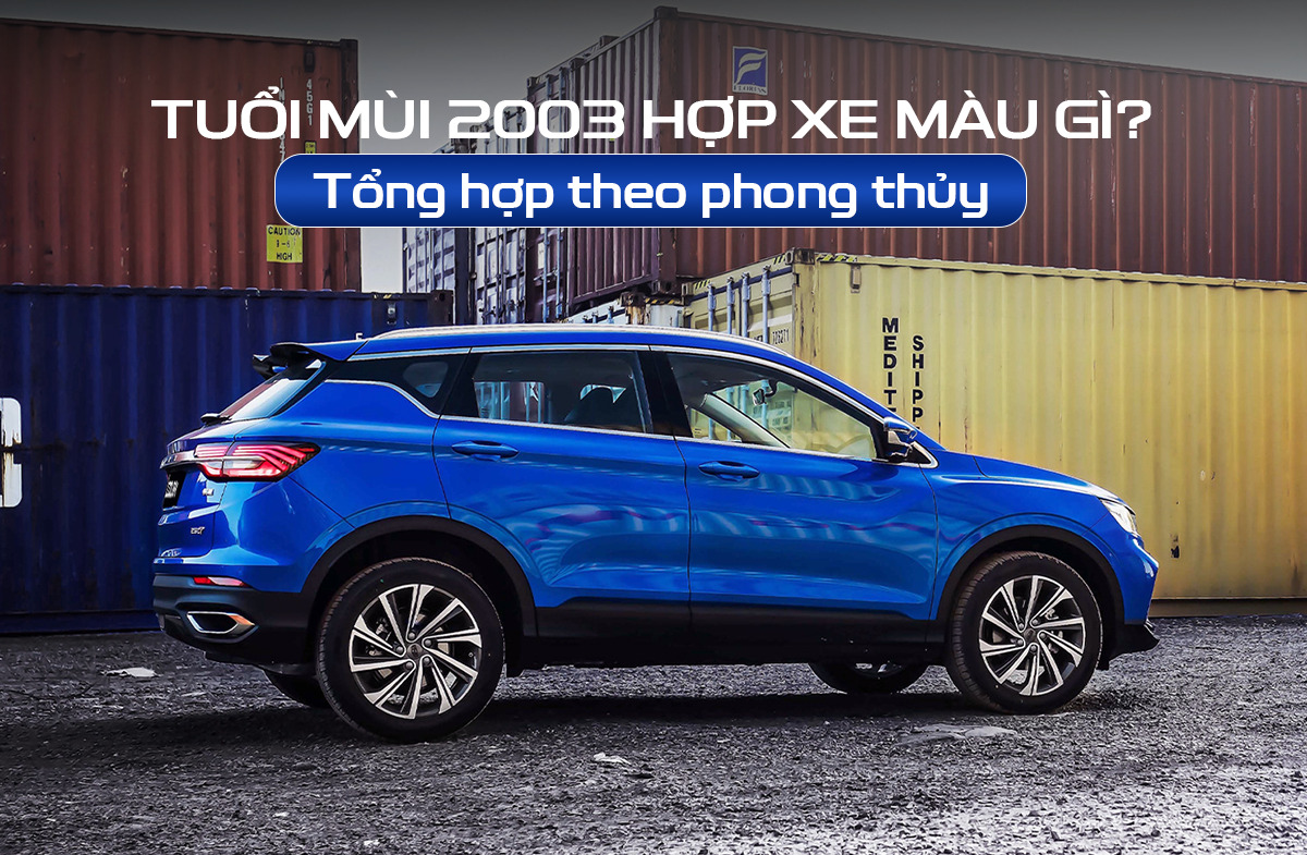 tuổi Mùi 2003 hợp xe màu gì