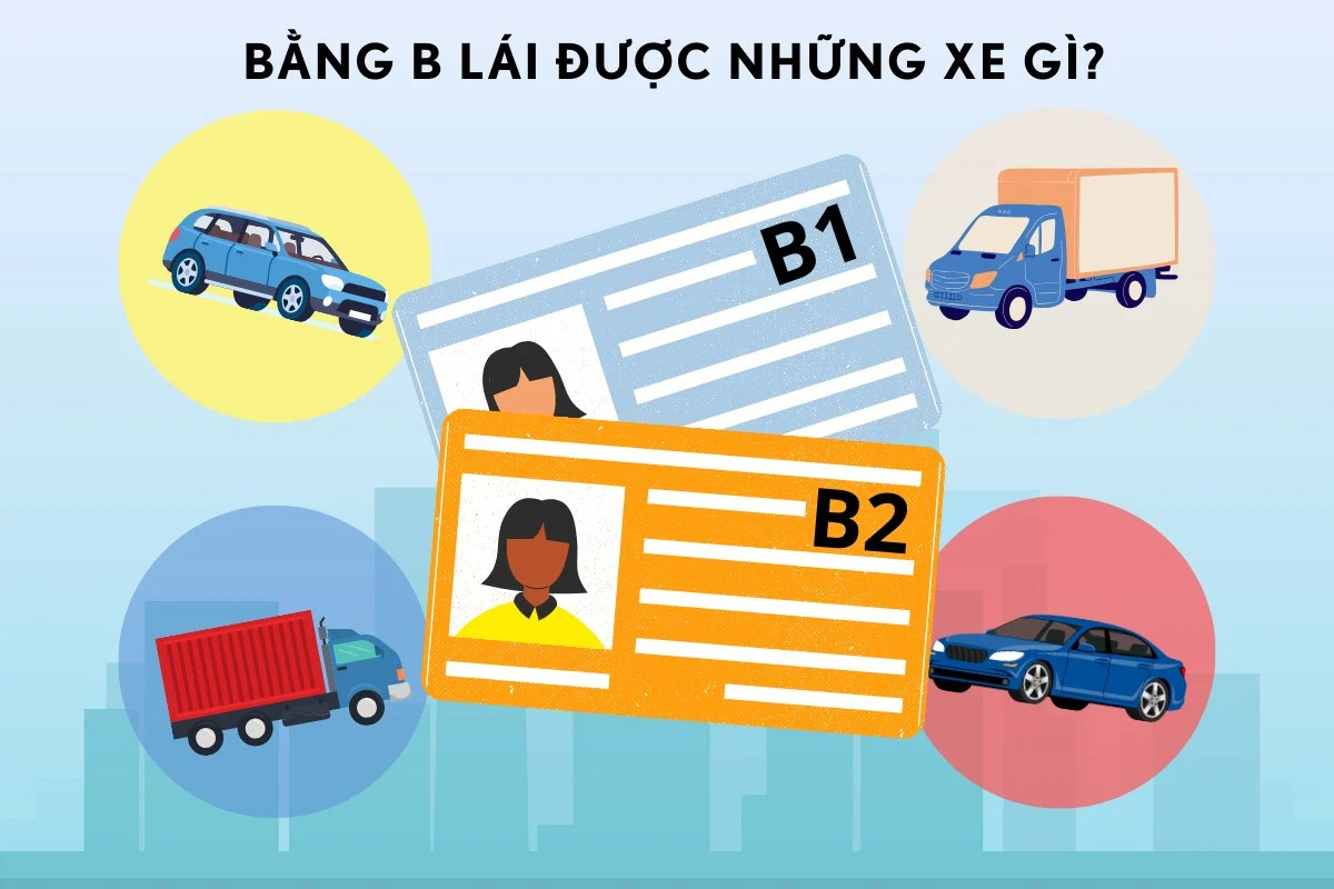 Bằng B1 chỉ cho phép lái xe không kinh doanh, còn bằng B2 cho phép hành nghề lái xe