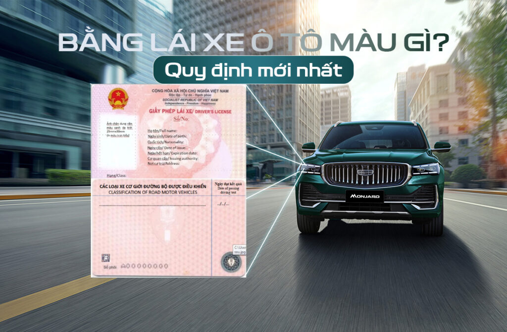 Bằng lái xe màu gì?
