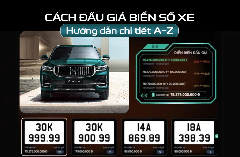 cách đấu giá biển số xe