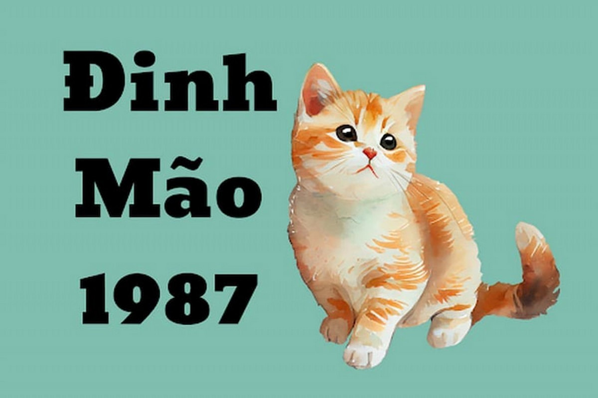 Năm 1987 theo lịch âm là Đinh Mão, thuộc tuổi con Mèo (Mão)
