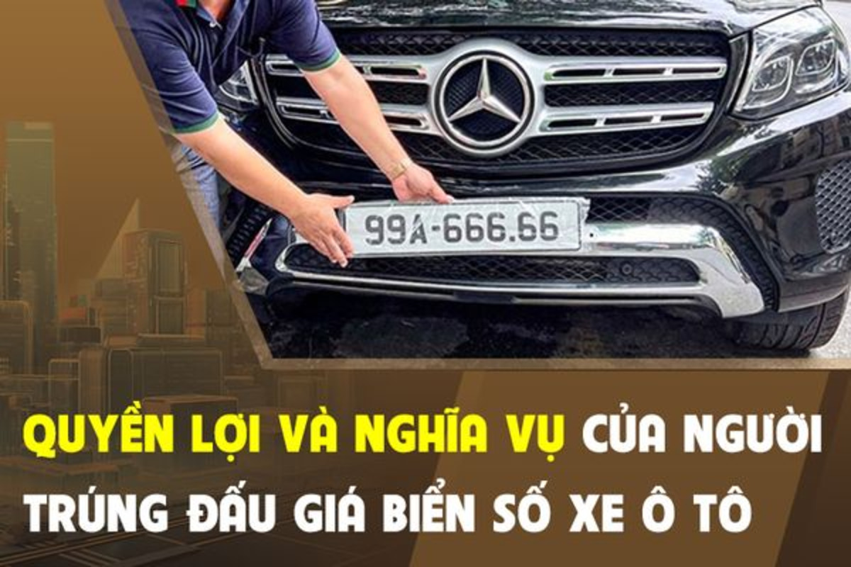 Người trúng đấu giá biển số xe trực tuyến có quyền được cấp quyết định xác nhận, đăng ký biển số gắn lên xe sở hữu