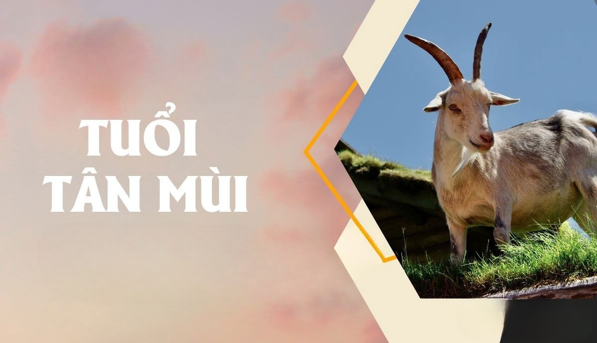 Tuổi Mùi 1991 thuộc mệnh Thổ, cụ thể là nạp âm Lộ Bàng Thổ